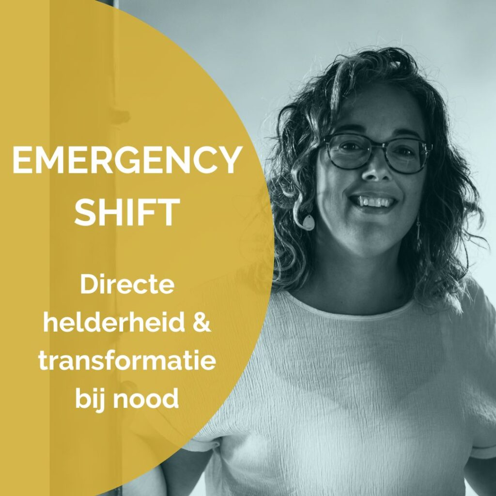 Emergency shift Veerle Stevens