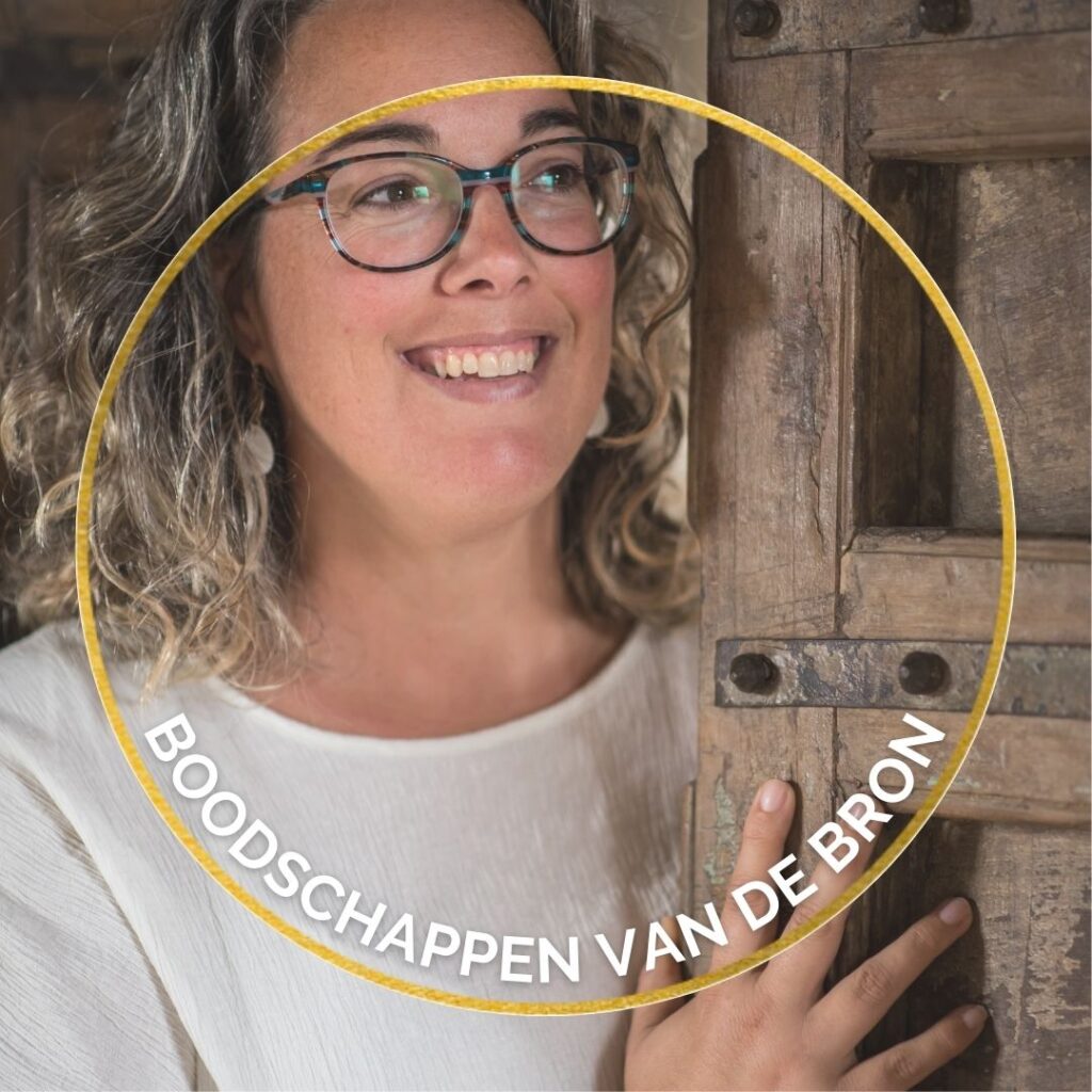 Boodschappen van de Bron - Veerle Stevens